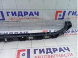 Кронштейн бампера задний Volkswagen Passat CC 3C8807863C