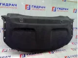 Полка (шторка) задняя Volkswagen Passat CC 3C8863413