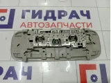 Плафон салонный Volkswagen Passat CC 3C0947291DY20