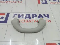 Ручка потолочная Volkswagen Passat CC 1K0857607MY20