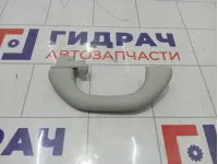 Ручка потолочная Volkswagen Passat CC 1K0857607NY20