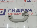 Ручка потолочная Volkswagen Passat CC 1K0857607NY20