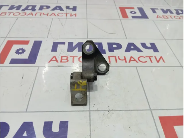 Петли двери передней правой Volkswagen Passat CC