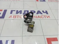 Петли двери задней левой Volkswagen Passat CC