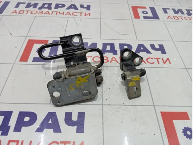 Петли двери задней правой Volkswagen Passat CC