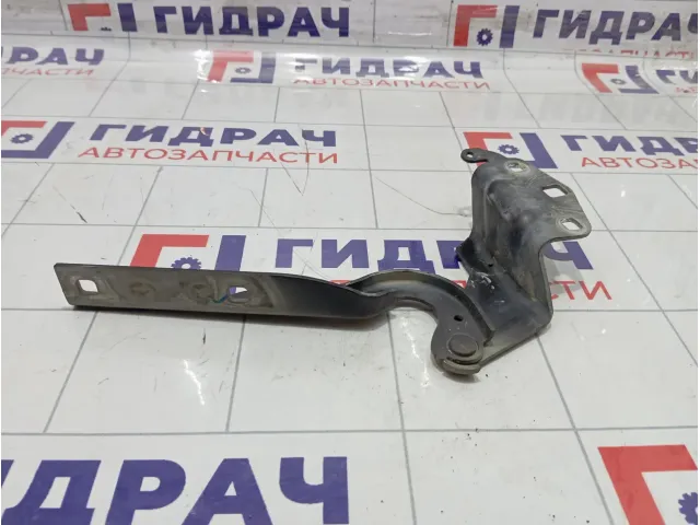 Петля капота левая Volkswagen Passat CC 3C8823301A