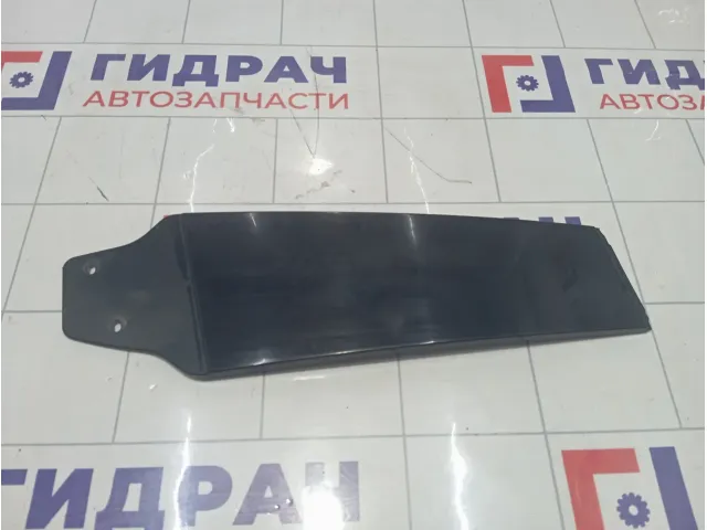 Накладка двери вертикальная передней правой Volkswagen Passat CC 3C8853317B