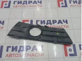 Решетка бампера левая Volkswagen Passat CC 3C8853665