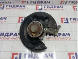 Кулак поворотный задний левый Volkswagen Passat CC 3C0505433K