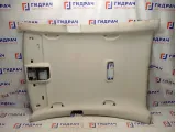 Обшивка потолка Volkswagen Passat CC 3C8867502D6K8