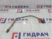 Датчик кислородный/Lambdasonde Volkswagen Passat CC 06H906262AC