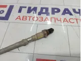 Датчик кислородный/Lambdasonde Volkswagen Passat CC 06H906262AC