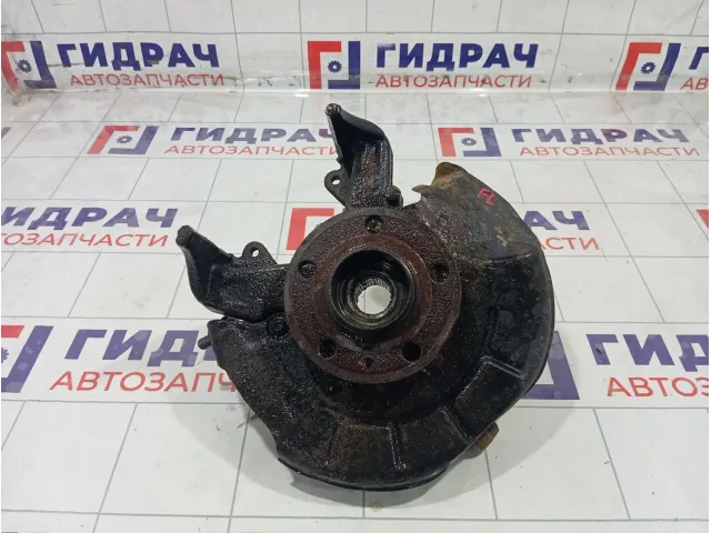 Кулак поворотный передний левый Volkswagen Polo 6Q0407255AC
