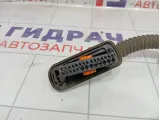 Проводка двери задней левой Volkswagen Polo 6RU971693C
