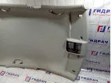 Обшивка потолка Volkswagen Polo Sedan (Mk5) 6RU867501APD6