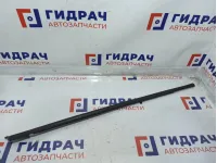 Накладка стекла заднего правого Volkswagen Polo Sedan (Mk5) 6RU8394785AP.