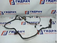 Проводка двери передней левой Volkswagen Polo Sedan (Mk5) 6RU971120E.