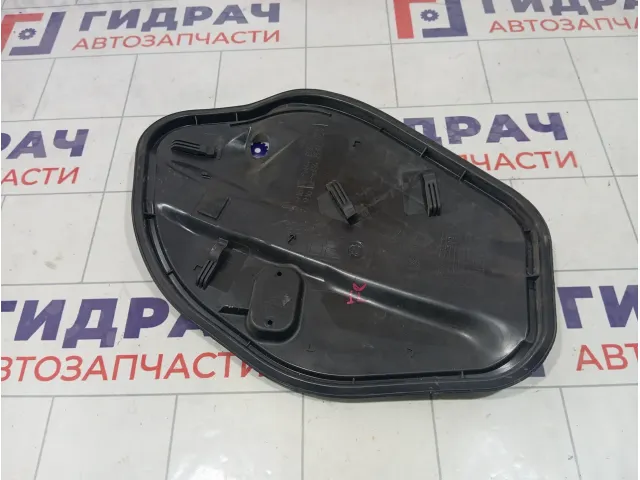 Панель двери передней правой Volkswagen Polo 6R4837342K