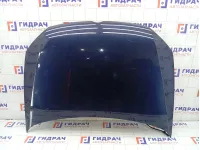 Капот Volkswagen Polo 6R0823031G