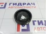 Шкив водяного насоса (помпы) Volkswagen Polo Sedan (Mk5) 03D121028B