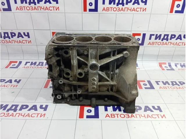 Блок двигателя Volkswagen Polo Sedan (Mk5) 03C103101T