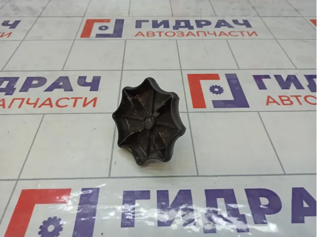 Крепление (болт) запасного колеса Volkswagen Polo 6Q0803899A