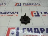 Крепление (болт) запасного колеса Volkswagen Polo 6Q0803899A