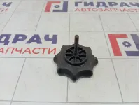 Крепление (болт) запасного колеса Volkswagen Polo 6Q0803899A