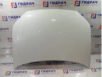 Капот Volkswagen Polo 6RU823031C