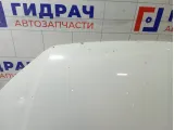 Капот Volkswagen Polo 6RU823031C