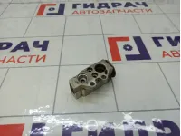Клапан кондиционера Volkswagen Polo 6Q0820679G