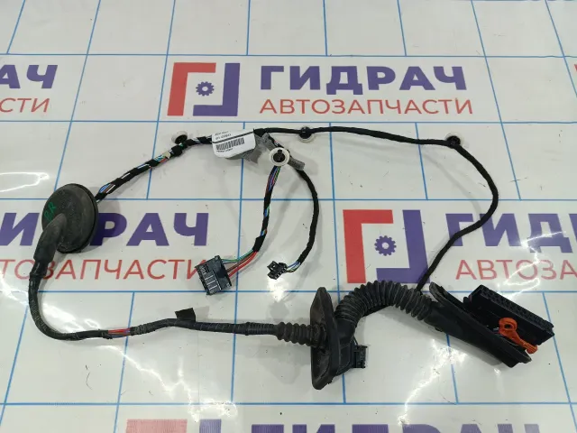 Проводка двери задней правой Volkswagen Polo (Mk6) 6N5971162A