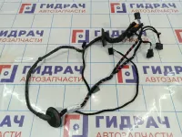 Проводка двери передней левой Volkswagen Polo (Mk6) 6N5971120C