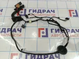 Проводка двери передней правой Volkswagen Polo (Mk6) 6N5971121C