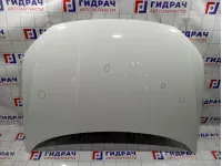 Капот Volkswagen Polo (Mk6) 6N5823031