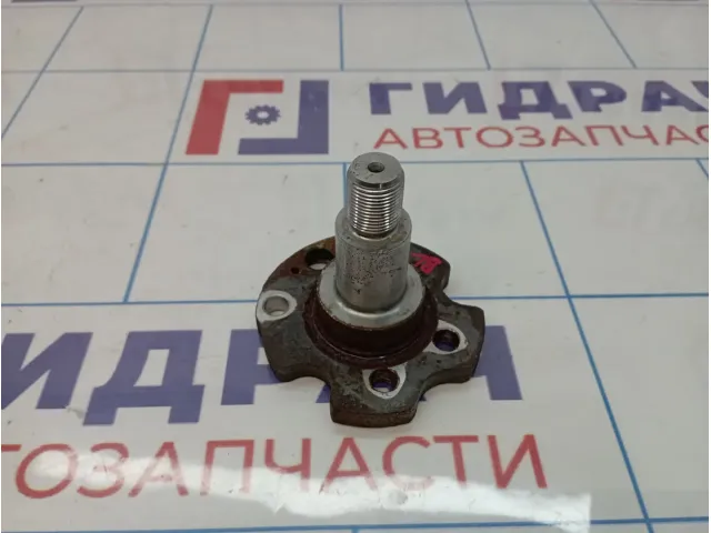 Цапфа Volkswagen Polo (Mk6) 6RU501117