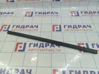 Уплотнитель стекла переднего левого Volkswagen Polo (Mk6) 5JA837479B