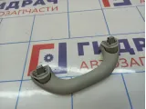 Ручка внутренняя потолочная Volkswagen Polo (Mk6)