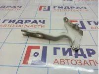 Петля капота левая Volkswagen Polo (Mk6) 60U823301