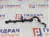 Рейка топливная (рампа) Volkswagen Tiguan (Mk2) 06K133681C