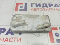 Радиатор (маслоохладитель) АКПП Volkswagen Tiguan (Mk2) 0BH317019A