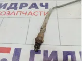 Датчик кислородный Volkswagen Tiguan (Mk2) 06K906262AP
