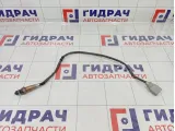 Датчик кислородный Volkswagen Tiguan (Mk2) 8V0906262D