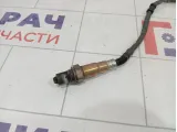 Датчик кислородный Volkswagen Tiguan (Mk2) 8V0906262D