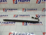 Амортизатор двери багажника левый Volkswagen Tiguan (Mk2) 5NA827851A905