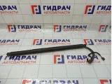 Амортизатор двери багажника левый Volkswagen Tiguan (Mk2) 5NA827851A905