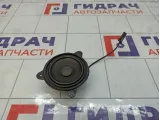 Динамик в торпедо Volkswagen Tiguan (Mk2) 5NA035709
