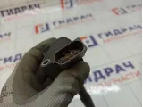Катушка зажигания Volkswagen Tiguan (Mk2) 06L905110K