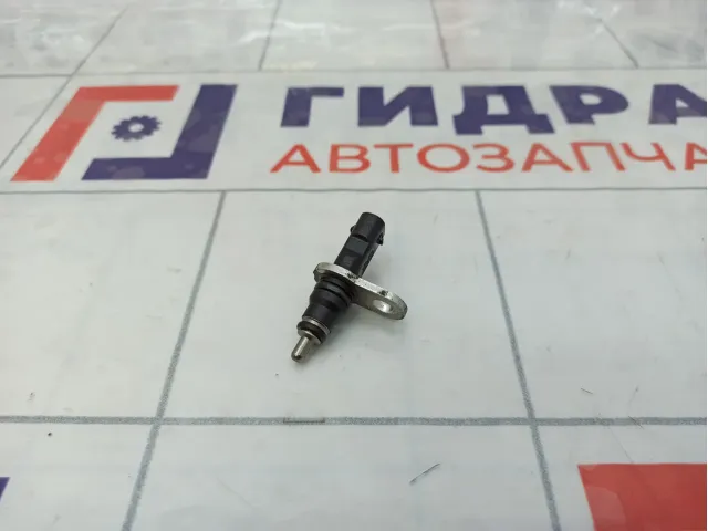 Датчик температуры Volkswagen Tiguan (Mk2) 079919523B