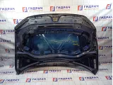 Капот Volkswagen Tiguan (Mk2) 5NA823031H